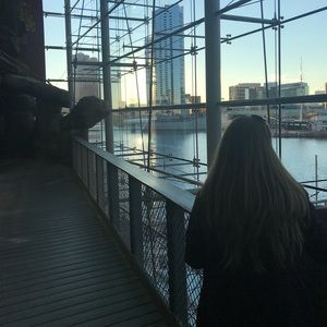 Meet your Posher, Abigail